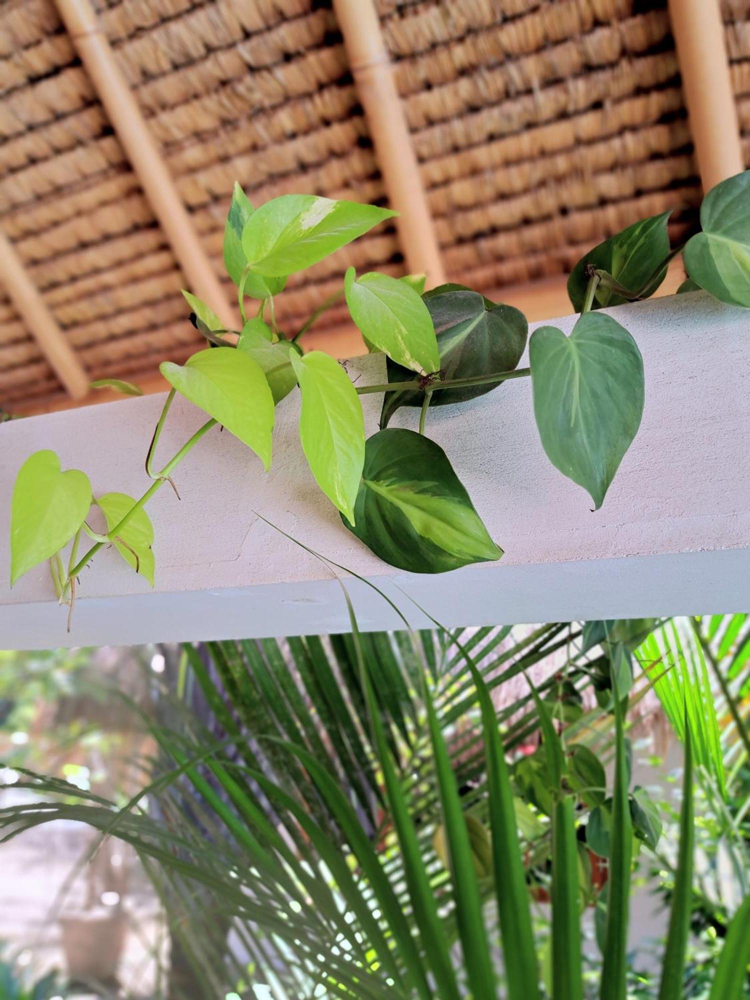 Eden Eco Resort Gili Trawangan Buitenkant foto